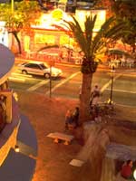 Visit Coconut Grove!