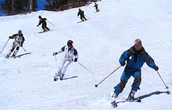 Ski Season 2012 News!