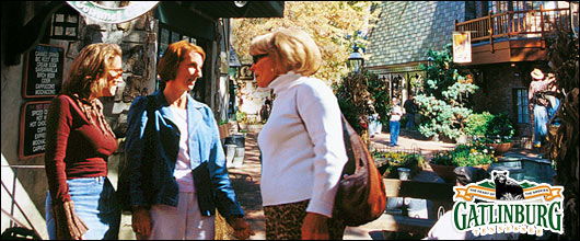 Click for Holiday Shopping Tour Info! Holiday Shopping Tour Info!