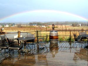 Click to Enlarge Vineyards Pic! Vineyards