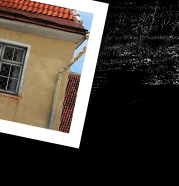 Image Here