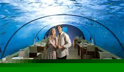 Click for Undersea Hotel News! Undersea Hotel News