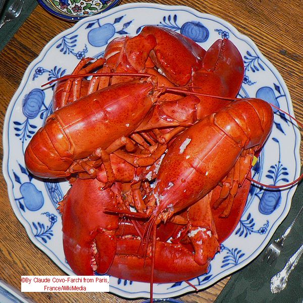 Click for More to Portland Maine Than Lobsters National Travel News! More to Portland Maine Than Lobsters National Travel News