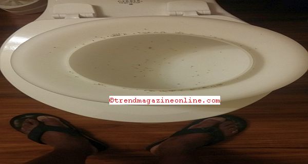 Click To Enlarge Affordable Corporate Suites Roanoke VA Part III Review Pic! Affordable Corporate Suites Roanoke VA Part III Review Pic!