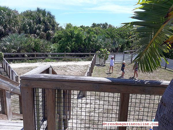 Click To Enlarge Lighthouse Cafe Key Biscayne Miami Florida Review Pic! Lighthouse Cafe Key Biscayne Miami Florida Review Pic!