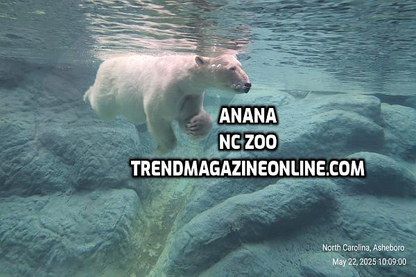 North Carolina Zoo Asheboro 2025 Travel Review
