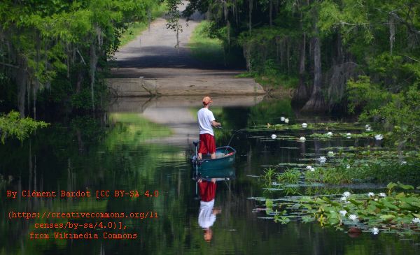 Click for Jeannie Lipphard Cruise & Travel Planner Centreville FL Travel Interview Jeannie Lipphard Cruise & Travel Planner Centreville FL Travel Interview