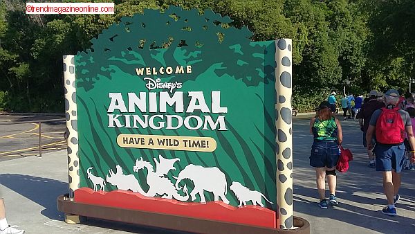 Disney's Animal Kingdom OPrlando Travel Article