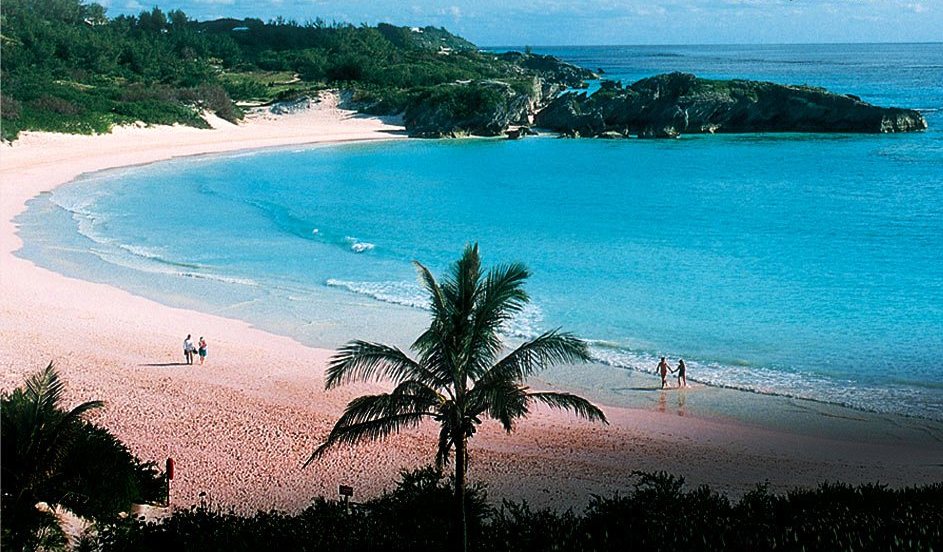 Click for National Travel News! National Travel News