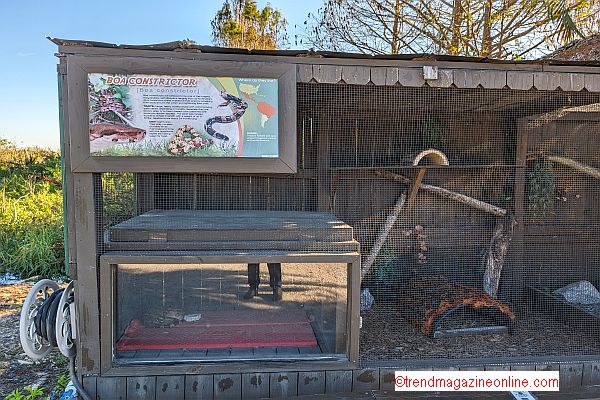 Click for Sawgrass Everglades Air Boat Rides Info! Sawgrass Everglades Air Boat Rides Pic