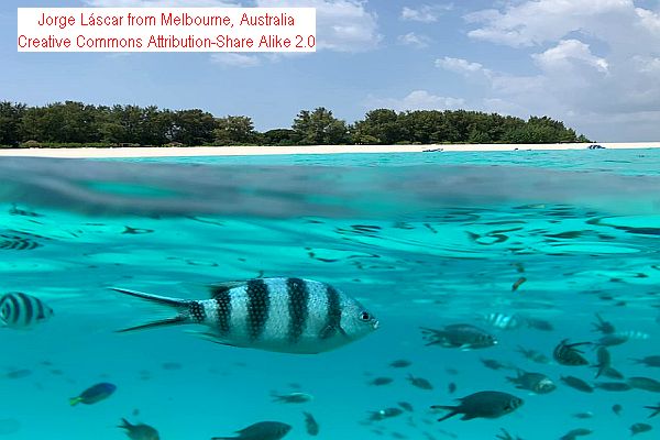 Top 10 Most Exclusive Private Island Resorts Worldwidee