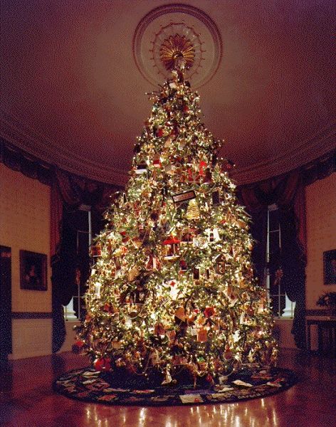 Click to Enlarge Christmas Tree Pic! Christmas Tree Pic