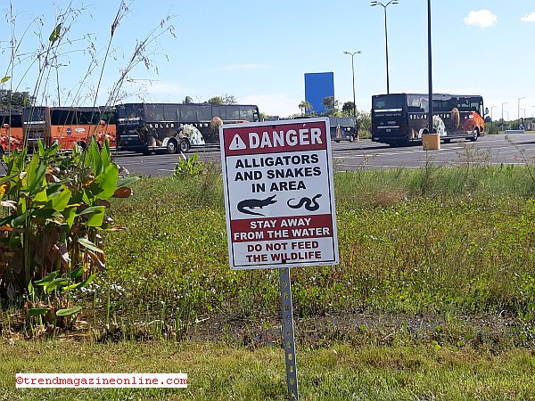 Click To Enlarge Kennedy Space Center Titusville Florida Review Pic! Kennedy Space Center Titusville Florida Review Pic!