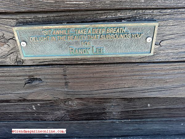 Click To Enlarge Cape Florida Lighthouse Key Biscayne Miami Florida Review Pic! Cape Florida Lighthouse Key Biscayne Miami Florida Review Pic!