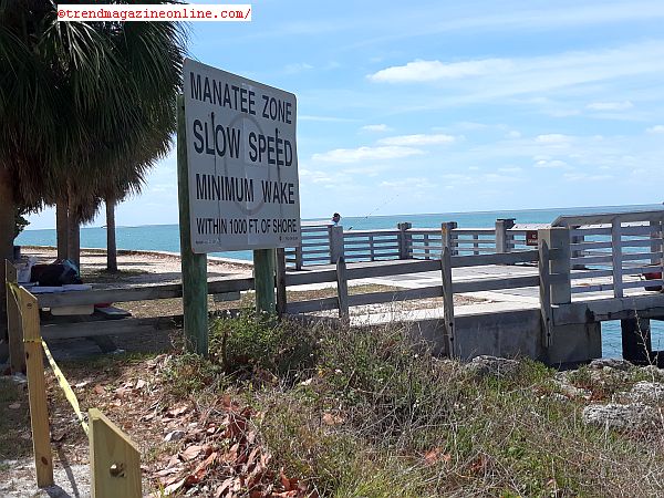 Click To Enlarge Cape Florida Lighthouse Key Biscayne Miami Florida Review Pic! Cape Florida Lighthouse Key Biscayne Miami Florida Review Pic!