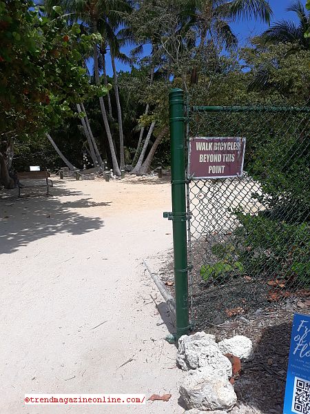 Click To Enlarge Cape Florida Lighthouse Key Biscayne Miami Florida Review Pic! Cape Florida Lighthouse Key Biscayne Miami Florida Review Pic!